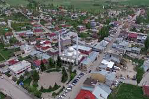 SARIZ