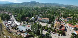 Hizmet Galerisi