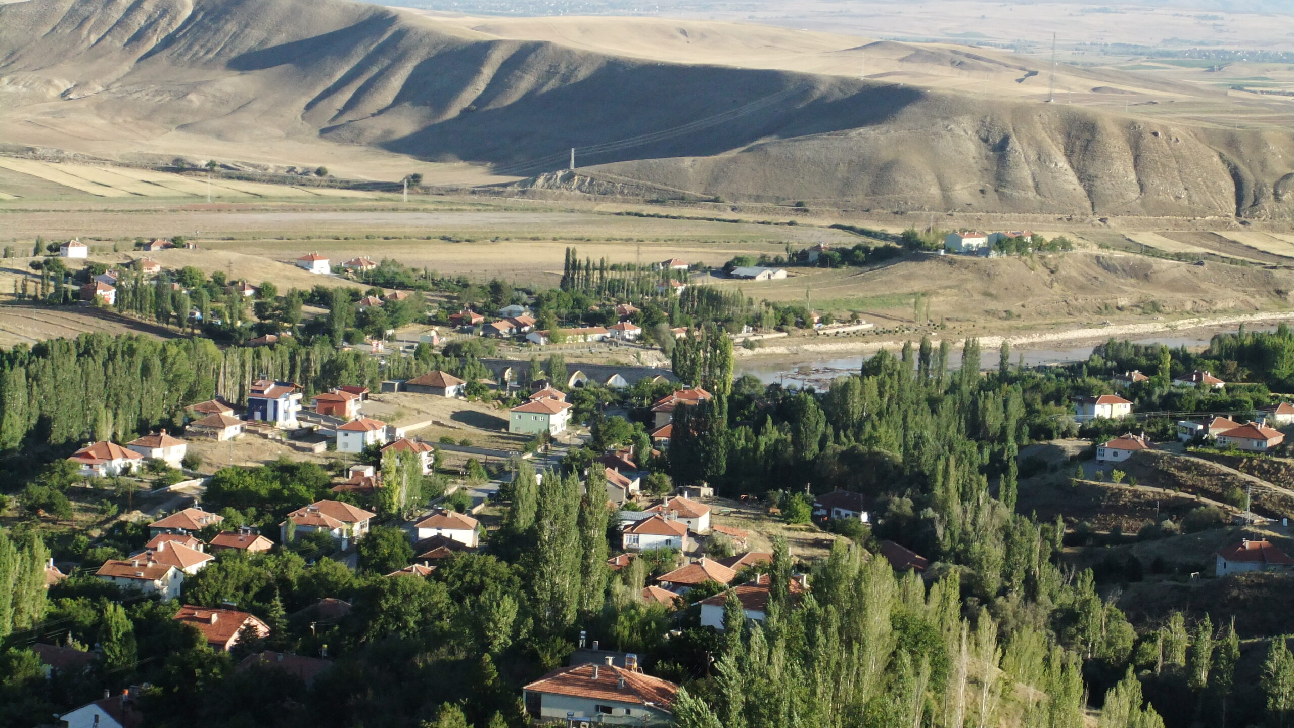 SARIOĞLAN